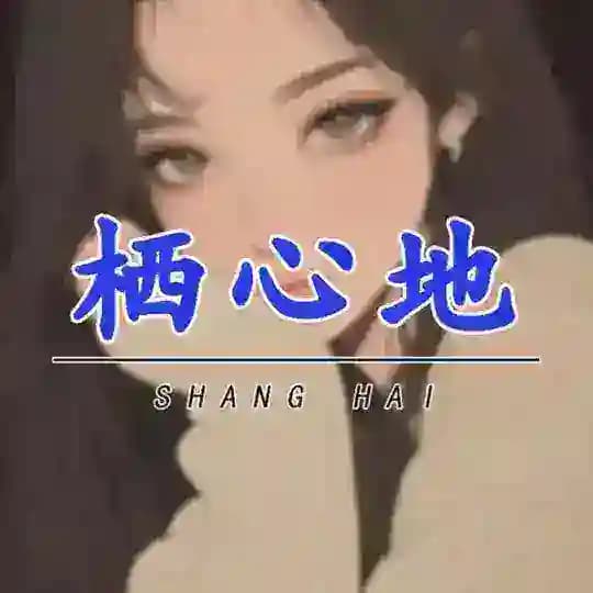 上海栖心地榜单