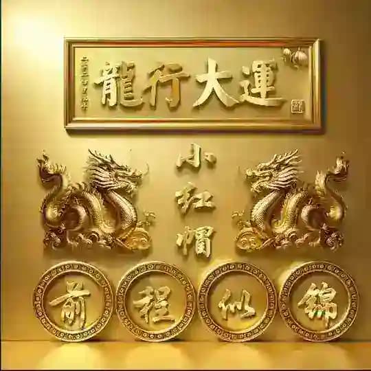 选妃频道 Profile