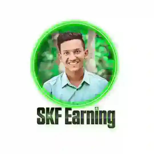 SKF Earning