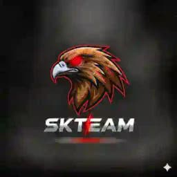 𝗦𝗞𝗧𝗘𝗔𝗠 🎀 Profile