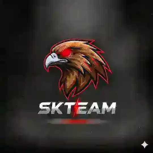 𝗦𝗞𝗧𝗘𝗔𝗠 🎀 Profile