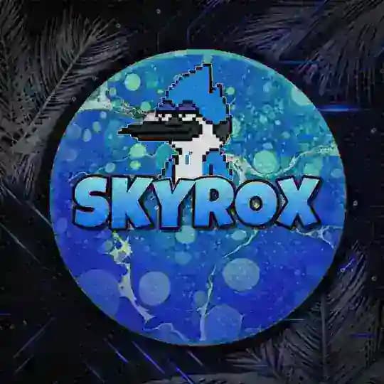 SKYROX VİP