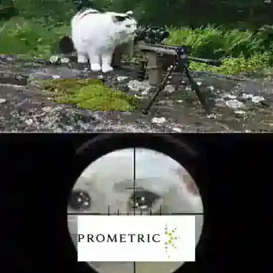 Prometric eastern KSA