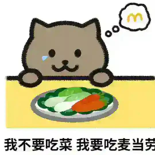 SM套路玩物视频(y)