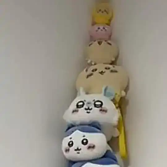 公益分享文件/内核/直装频道🇨🇳