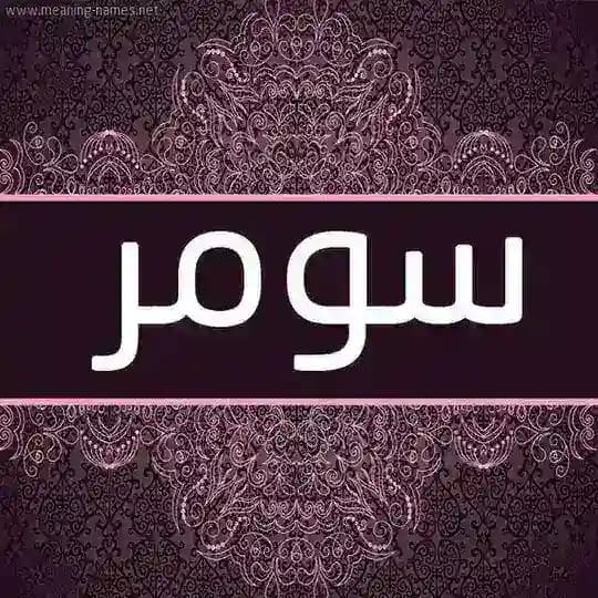 𖡃 منصة سومر التعليمية