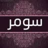 𖡃 منصة سومر التعليمية