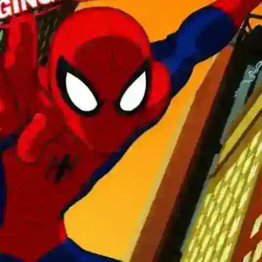 Spider-Man Cartoons