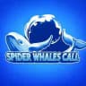 🐳SPIDER WHALES CALL中國🐳