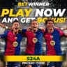 BETWINNER GUIDE