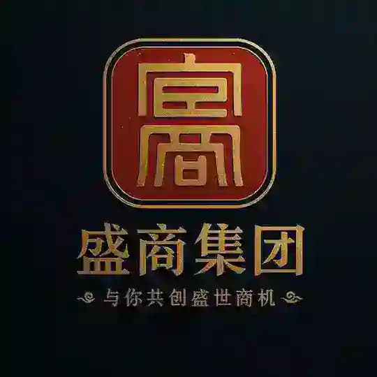 盛商集团 全球支付