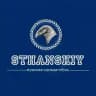 STHANSKIY.SHOP