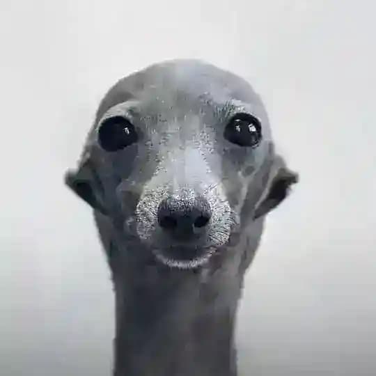 SXUNDMANE