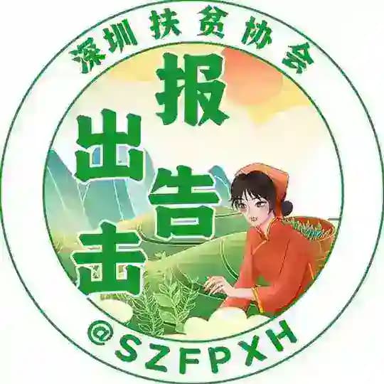 深圳出击报告
