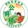 深圳公开榜