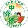 深圳中介榜
