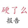 硬了么参考报告
