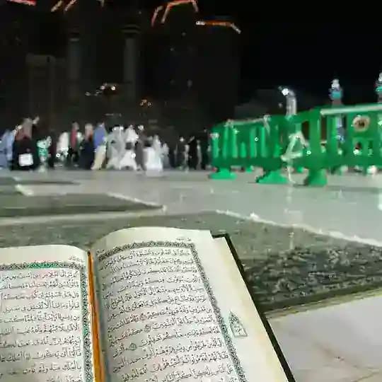 -﴿وَقُل رّبِّ زِدْنِي عِلْمًا﴾