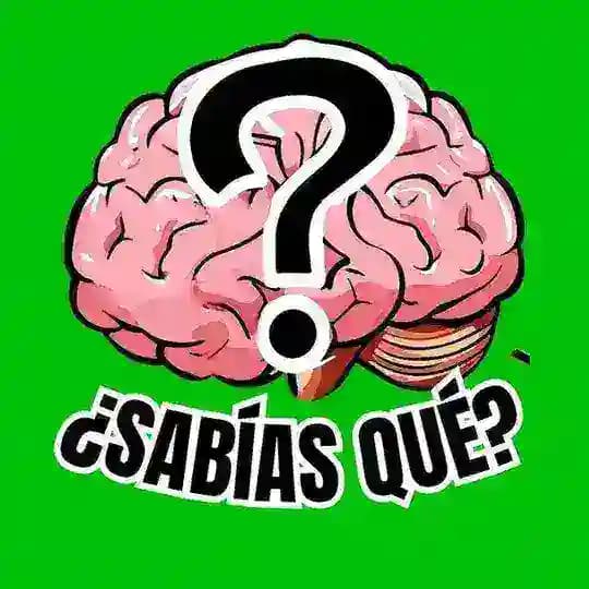 ¿SABÍAS QUÉ? 🧠🎁