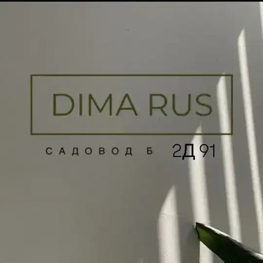 Садовод Б 2Д 91 Дима Рустамов