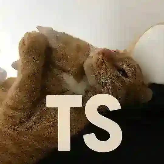 𝘛𝘢𝘴𝘪𝘢𝘯