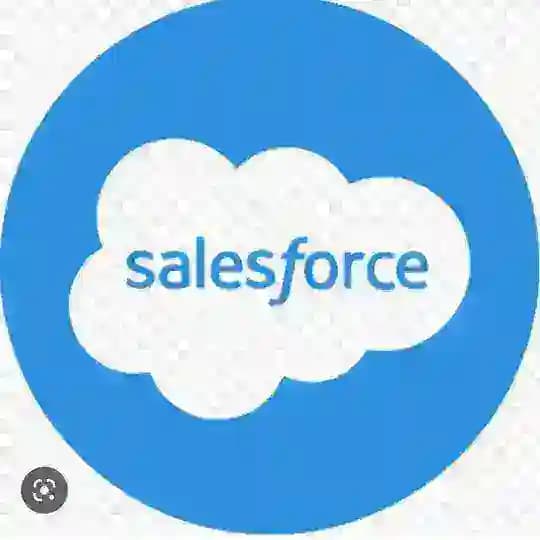 Salesforce Admin Pd1 App Builder Pd2 Advance admin Marketing cloud Administrator Sales cloud Business analyst Service Cloud Omni