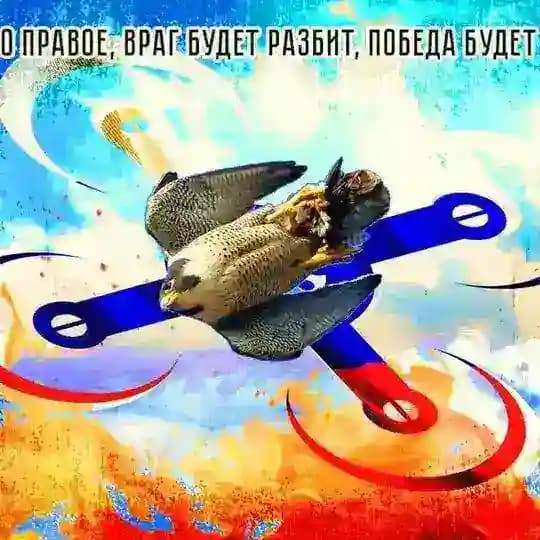 🦅 САПСАН ZOV БПЛА