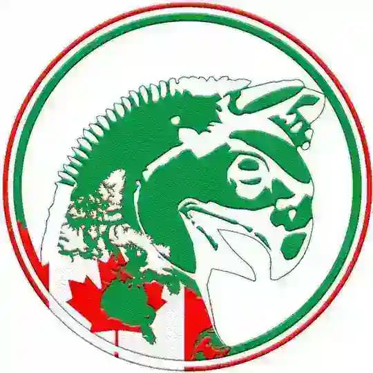 صرافی بهمنی کانادا