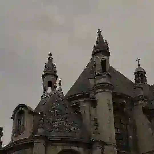 Профайлы Скэриэла Лоу🪶