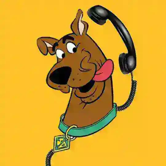 Scooby Calls π | BSC & ETH