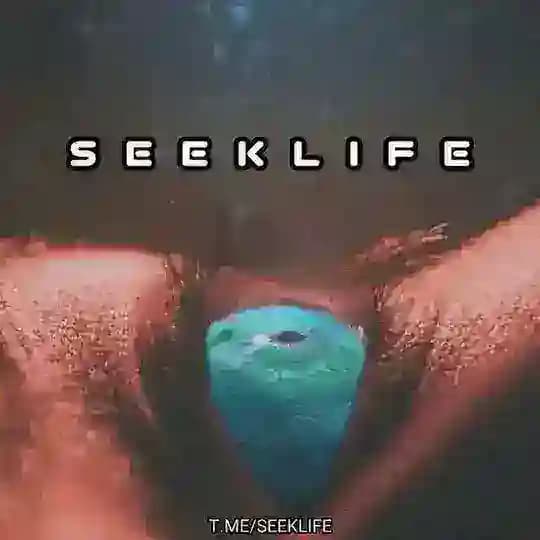 Seek Life