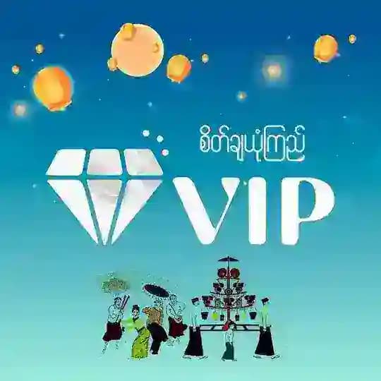 Sein Vip 2D