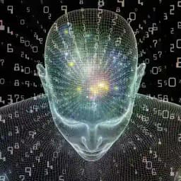 Ser De Consciencia Profile