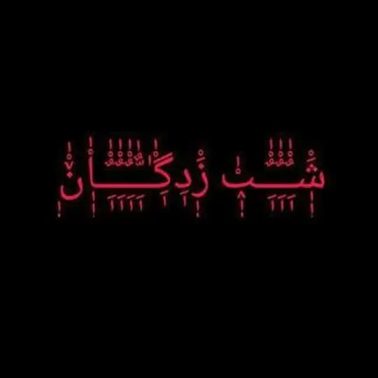 زاپاس شب زدگان