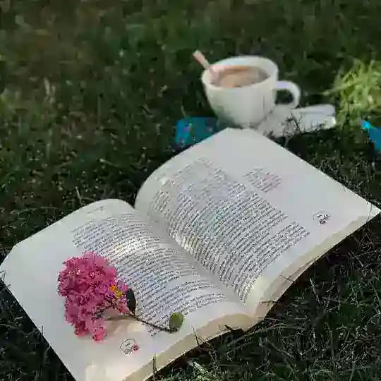 Bookstagram | kitobstagram