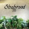 👚Shahrzad👚