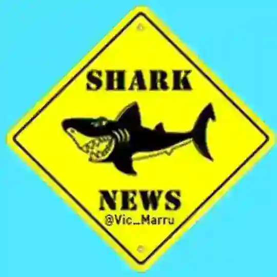 📰📈 SHARK NEWS 📉📆