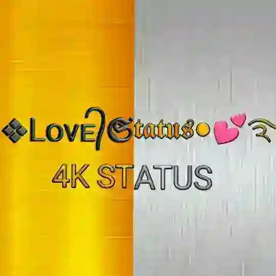 Status video ™