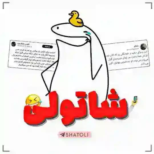 شاتولی :