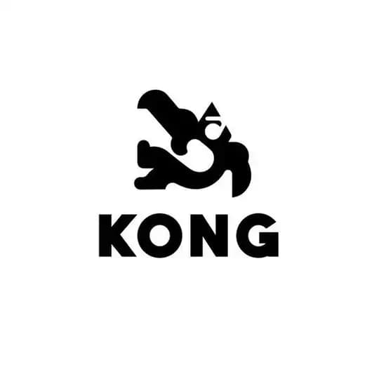 وصل شدن به نت