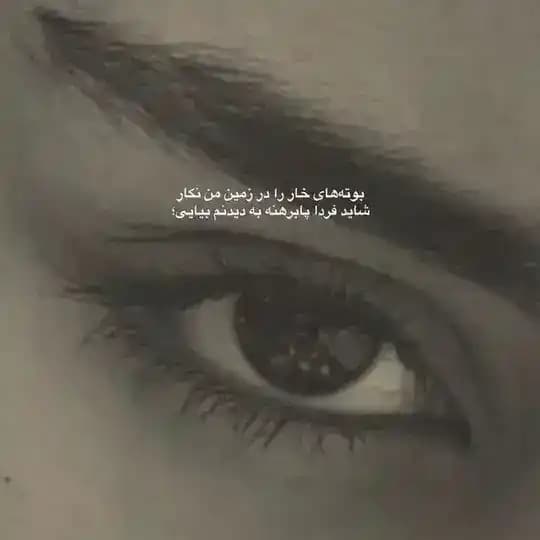 حرف دل