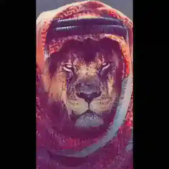 شيخ العرب 🇮🇶🦅
