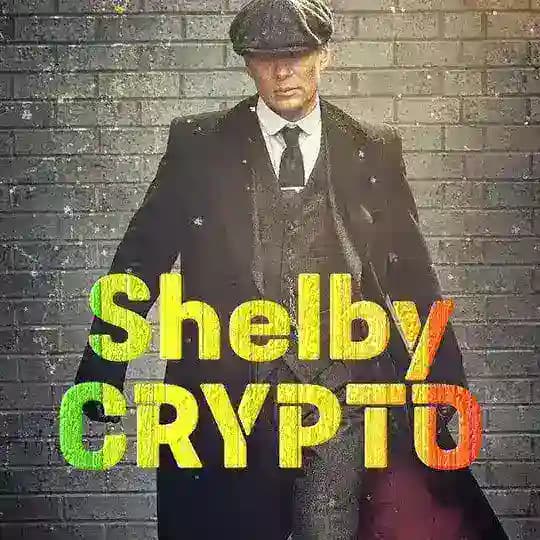🇩🇪ShelbyCRYPTO67🇩🇪