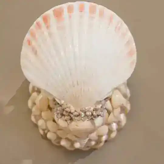 Shell Card