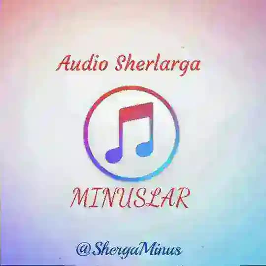 Audio Sherlarga MINUSLAR
