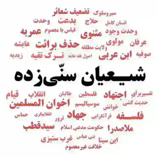 نقد شیعیان سنّی زده