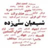 نقد شیعیان سنّی زده