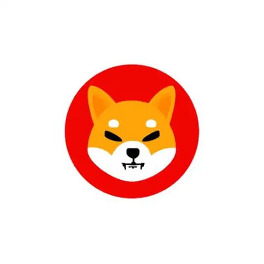 Shiba NEWS