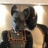 Shiny Critters 🔞