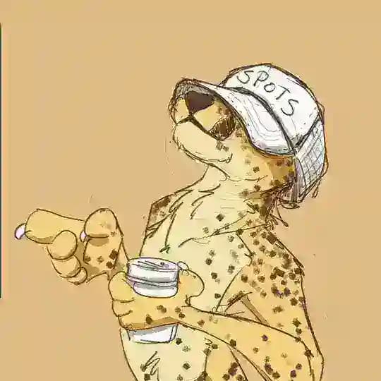 قناة بوت تمويل الشيتا